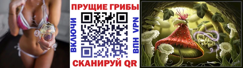 Псилоцибиновые грибы GOLDEN TEACHER  мориарти формула  Кувшиново  как найти закладки 